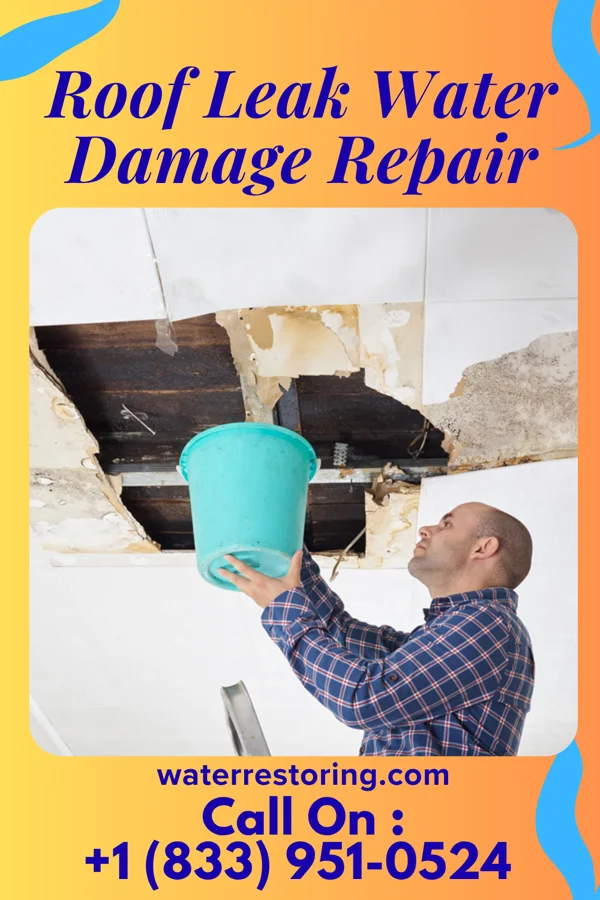 Roof Leak Water Damage Repair in Higbee, MO